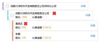 成都川洋軟件開發(fā)有限責(zé)任公司深圳分公司 深圳軟件開發(fā)領(lǐng)域的匠心筑夢者